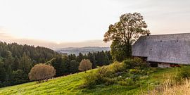 Typical farm at the Black Forest in Germany by Werner Dieterich