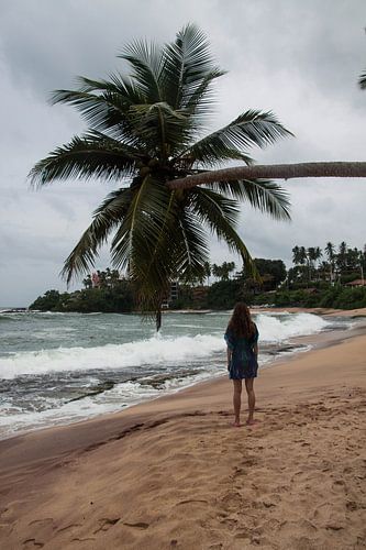 strand te Sri Lanka.