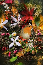 Herfstkleuren in mijn tuin van LUDMILA SHUMILOVA