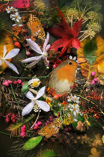 Herfstkleuren in mijn tuin