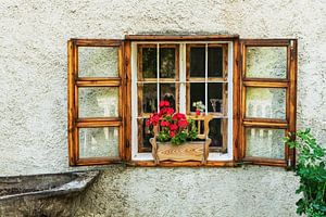 Holzfenster mit Blumenkasten und roten Geranien