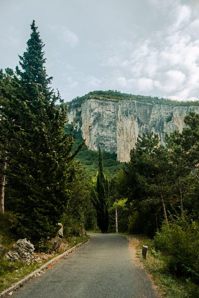 Un sentier naturel avec des rochers à Arco, Italie par Manon Verijdt