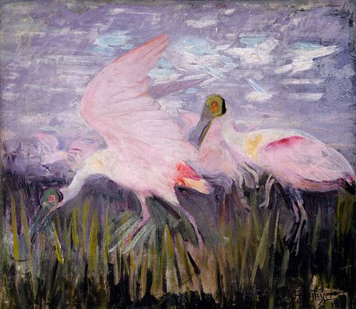 Roseate Spoonbills, Abbott Handerson Thayer