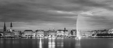 The skyline of Hamburg in black and white