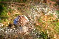 Verlangen naar paddenstoelen van Christine GUILLET thumbnail