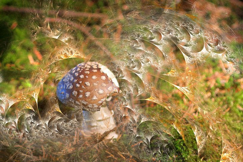 Verlangen naar paddenstoelen van Christine GUILLET