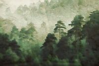 Het bos ontwaakt in de lente