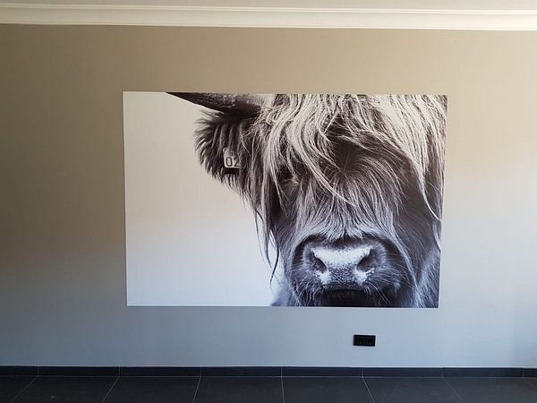 Customer photo: Portrait Scottish Highlander black and white by Sandra van Kampen