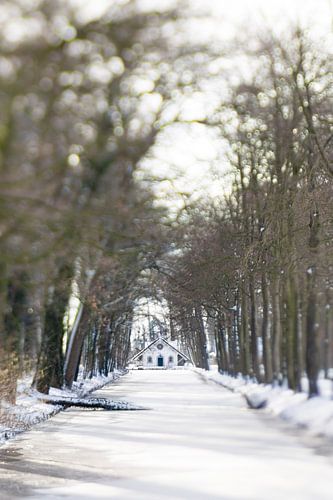 Winter wonderland | Linschoten | Pastel