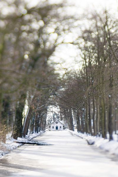 Winter wonderland | Linschoten | Pastel van Gabry Zijlstra