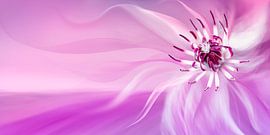 Fading in the wind by Rob 't Hoen