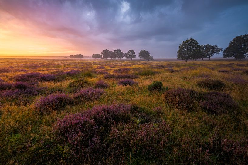 Der Herbst naht von Jeroen Lagerwerf
