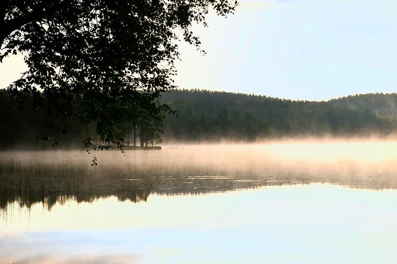 Lever de soleil avec formation de brouillard sur un lac en Suède, à l'aube par Martin Köbsch