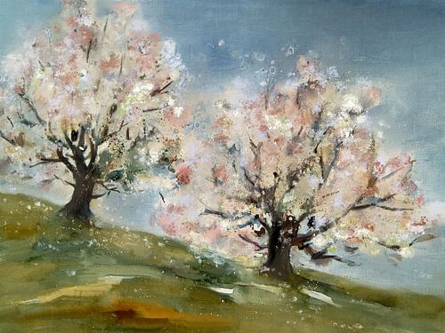 Printemps - floraison des arbres fruitiers