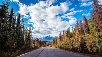 Roadtrip Canadian Rockies ... van Robert Van Der Linde