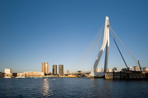 De Erasmusbrug in het zonnetje