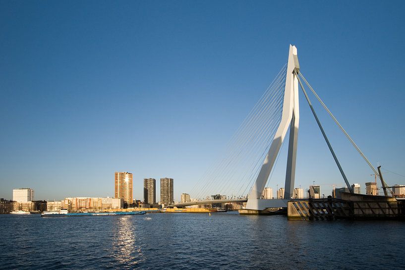 De Erasmusbrug in het zonnetje van Pieter van Roijen