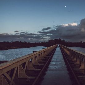 Jorien Klerks Profilfoto