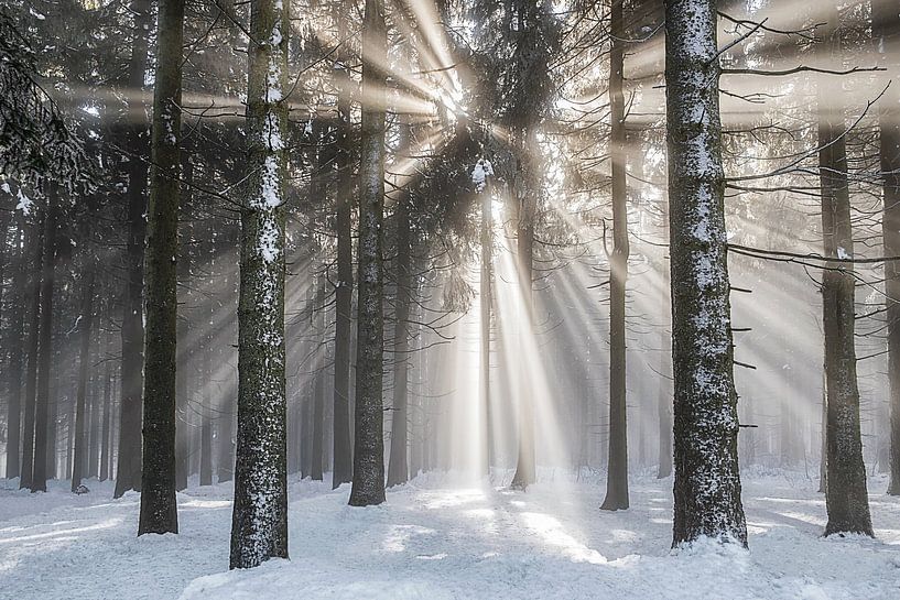 Überwältigend Winterlandschaft von Lars van de Goor