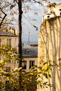 Die Straßen von Paris