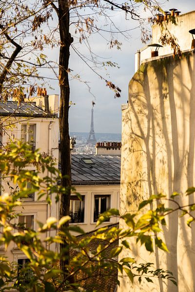 The streets of Paris by Nynke Altenburg