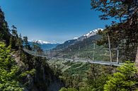 Pont suspendu, Bisse Torrent-Neuf Suisse par Ingrid Aanen Aperçu