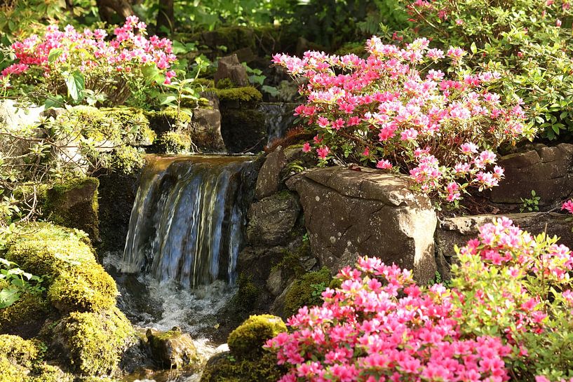 Fließendes Wasser im Keukenhof.2 von Daniëlle Eibrink Jansen