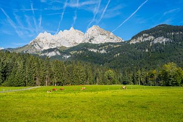 Het Kaisergebergte in Tirol - uitzicht op de Wilder Kaiser van ManfredFotos