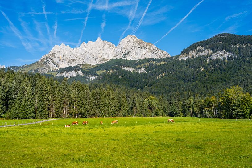 The Kaiser Mountains in Tyrol - view of the Wilder Kaiser by ManfredFotos