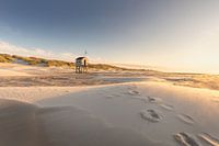 Terschelling drunken cottage enjoys peace and quiet