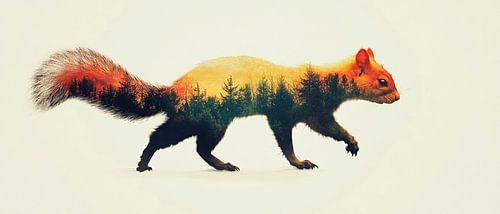 Forest animal in transition