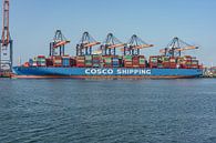 Cosco Shipping Capricorn container ship. by Jaap van den Berg thumbnail