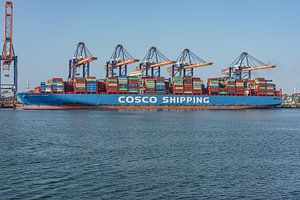Cosco Shipping Capricorn Containerschiff.
