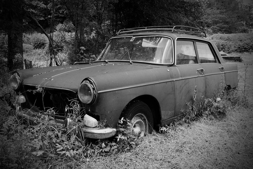 Peugeot 404, schwarz/weiß von Ton van Waard - Pro-Moois