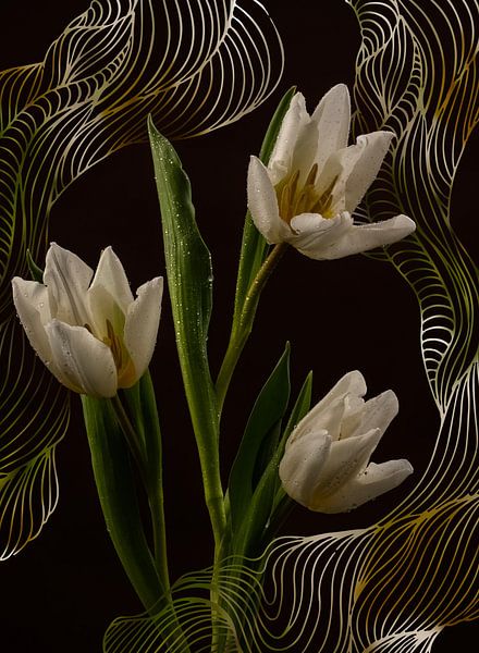 Nederlandse witte tulpen met digitale grafische lijnen van Misty Melodies