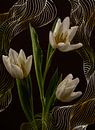 Nederlandse witte tulpen met digitale grafische lijnen van Misty Melodies thumbnail