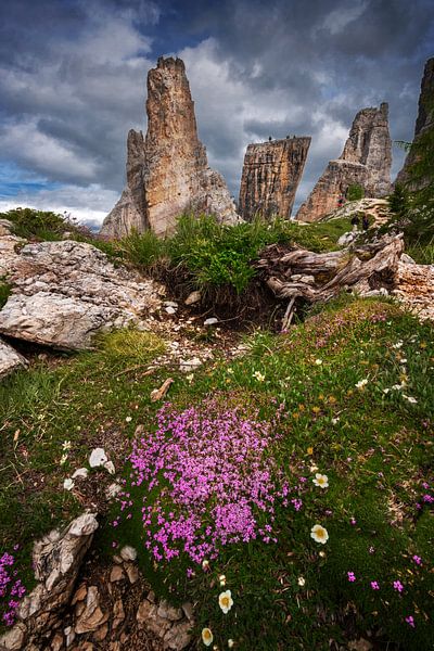 bij de 5 torri van Alex Neumayer