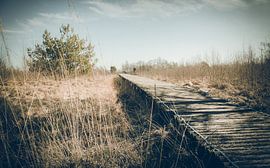 Knuppelbruggen von Ronald Smeets Photography