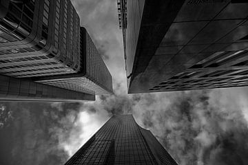 Aiming high. Skyscraper trio in black and white
