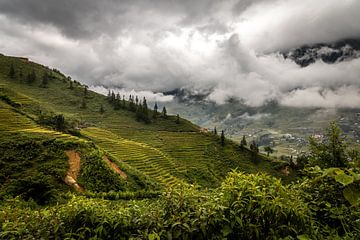 Sa Pa, Vietnam by Patrick Fotografeert