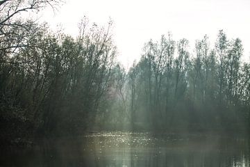 Valeur du bœuf, Deventer sur Ruben Nijkamp