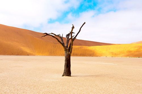 Kunst in Reinform... 