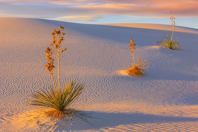 White Sands National Monument, New Mexico, USA von Henk Meijer Photography