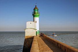 Vissen in het ochtendzonnetje sur Harrie Muis