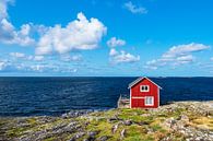 Rote Holzhütte auf der Insel Åstol in Schweden von Rico Ködder Miniaturansicht