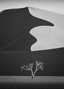 Light & shadow by Yun Gong