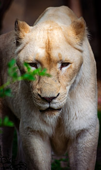 I'm watching you!