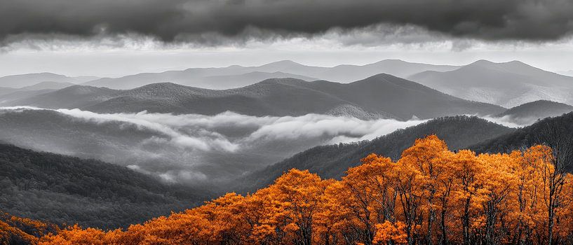 Herbstlandschaft mit Nebel – Schwarz-Weiß von Poster Art Shop