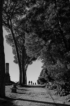 Silhouet Fotografie Palatijn Rome Italië van Martijn Jebbink Fotografie
