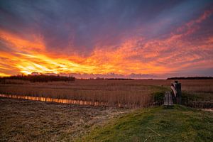 Ciel en feu au-dessus de la réserve naturelle de Kruiszwin à Anna Paulowna